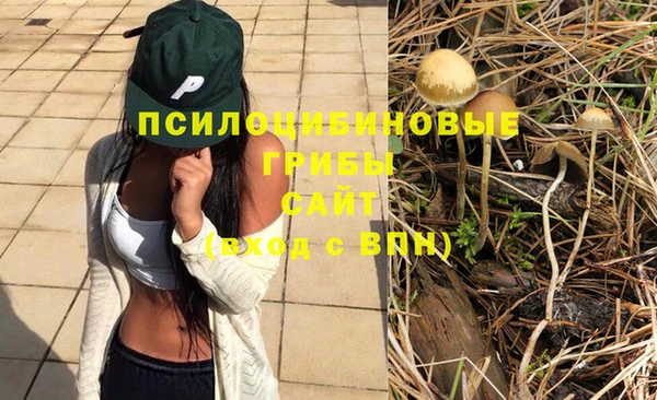 PSILOCYBIN Арсеньев