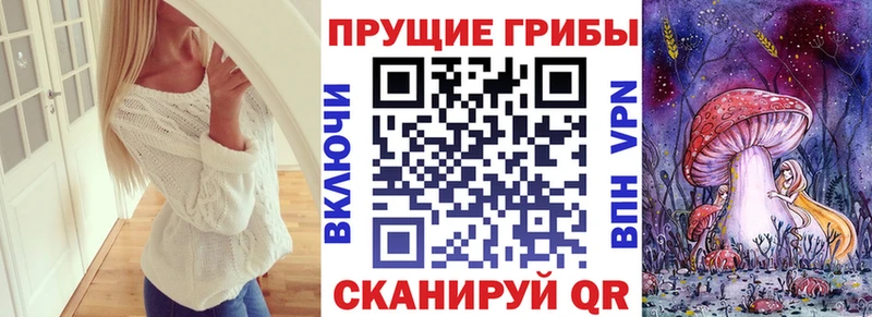 Псилоцибиновые грибы мицелий  Купить где  Сибай 